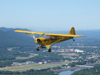 N3548K @ LHV - cub over Lockhaven PA - by Sara Palmer