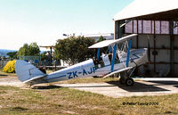 ZK-AJP @ NPE - DH82A Tiger Moth - by Peter Lewis