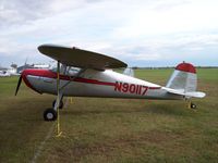 N90117 @ KFBL - Cessna 120 - by Mark Pasqualino