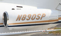 N890SP @ PDK - Tail Numbers - by Michael Martin