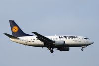 D-ABIP @ LHR - Lufthansa Boeing 737-530 - by Mark Giddens