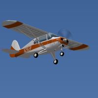 N2963P - X-Plane flight sim model of 2963P - by David Austin Jr