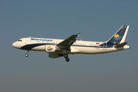 TS-INI @ BRU - arrival of flight 8U924 from Tripoli (Lybia) - by Daniel Vanderauwera