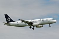 ZK-OJH @ AKL - Air New Zealand A320 in Star Alliance colours - by Micha Lueck