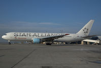 OE-LAZ @ VIE - Austrian Airlines Boeing 767-300 in Star Alliance colors - by Yakfreak - VAP