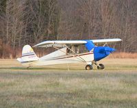 N10008 @ N75 - This handsome bird, built in 2001, is yet another experimental aircraft based on the Piper J-3 Cub. - by Daniel L. Berek