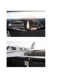 N760C @ VRB - wing damage caused by turkey buzzard on landing approach - by Scott Boileau