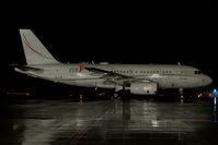 P4-ARL @ LNZ - Airbus 319 - by Yakfreak - VAP