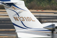 N131SL @ PDK - Tail Numbers - by Michael Martin