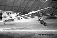 ZK-BKV @ NZAR - 95hp Cub, Auckland Aero Club - by Peter Lewis