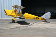 ZS-OOR @ FAGM - Tiger Moth at Rand - by Pete Hughes