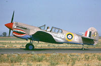 N94466 @ MAE - John Paul flying his P-40E - by Bill Larkins