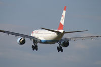 OE-LAM @ VIE - Austrian Airlines Airbus A330-200 - by Thomas Ramgraber-VAP