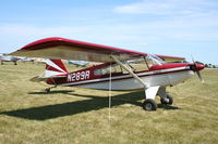 N289R @ KOSH - Bearhawk - by Mark Pasqualino