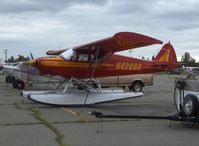 N4206H @ LHD - 1948 Piper PA-14 FAMILY CRUISER, Lycoming O-320 150 Hp upgrade, multiple certification - by Doug Robertson