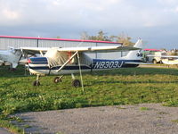 N8303J @ BQR - Temporary parking in the weeds - by Jim Uber