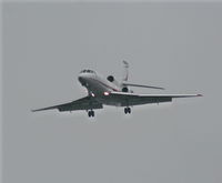 N980S @ TPA - Falcon 50 - by Florida Metal