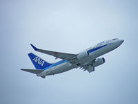 JA09AN @ ROAH - Boeing 737-781/ANA/Naha - by Ian Woodcock