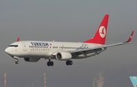 TC-JGJ @ LOWW - Turkish Airlines  Boeing 737-800 - by Delta Kilo