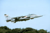 XZ357 @ EGYC - When the Jaguars were still there: fast and low over the barrier. - by Joop de Groot