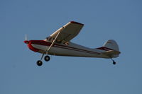 N3099A @ LAL - Cessna 170B - by Florida Metal