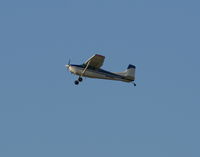 N4807 @ LAL - Cessna 185