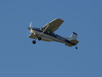 N6166N @ LAL - Cessna A185 - by Florida Metal