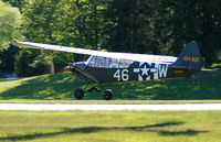 N87955 @ 12N - Very cool 1952 Cub chases its shadow as it comes in for a landing. - by Daniel L. Berek