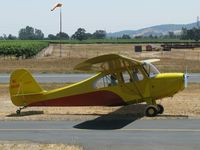 N84198 @ 0Q9 - Taken at the Sonoma Skypark airport - by Jack Snell