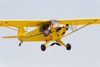 N30653 @ KLPC - At West Coast Piper Cub Fly-in 2008 Lompoc - by Mike Madrid