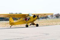 N21506 @ KLPC - Runup West Coast Piper Cub Fly-in Lompoc 2008 - by Mike Madrid