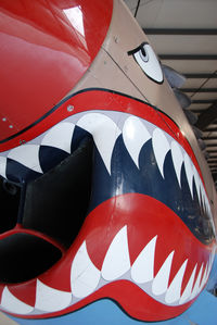 N94466 @ S67 - Flying Tiger Front view. On display at the Warhawk Air Museum. - by Bluedharma