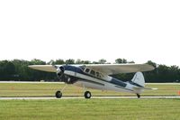 N2165C @ KOSH - Cessna 195B - by Mark Pasqualino