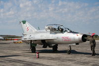 N711MG @ YIP - Mig-21 in Polish Air Force colors - by Florida Metal