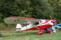 N5613M @ 64I - Clip Wing Taylorcraft - by Mark Pasqualino