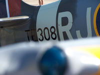 N308WK @ BDU - TE308 Spitfire Parked at Boulder open house. - by Bluedharma