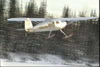 N89287 - Taking off on Skis - by Lyn Dunham