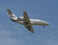 N850DG @ TPA - Cessna 525 - by Florida Metal