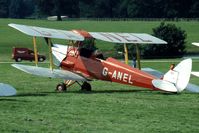 G-ANEL - Moth Rally 1992, Woburn Abbey, Bedfordshire, England - by Peter Ashton