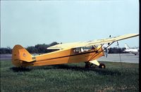 N42918 @ KUCA - This Cub as NC42918 was seen at Oneida County Airport in 1976 - airport closed in 2007. - by Peter Nicholson
