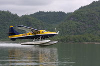 N49AW - N49AW AT Big River Lakes   AK - by Gary Kegel