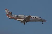 TC-DLZ @ LOWW - TC-DLZ  BONAIR??  Cessna 560XLS - by Delta Kilo