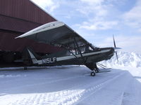 N15LF - Nice Husky, on Snowshoes- a really nice way to enjoy WNY weather (at Bryant Hill, Ellicotville, NY) - by Jim Uber