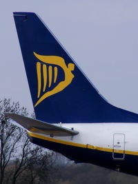 EI-DCE @ EGCC - Ryanair - by Chris Hall