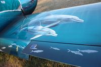 N33MR @ LAL - RV-7 dolphins painted on wings - by Florida Metal
