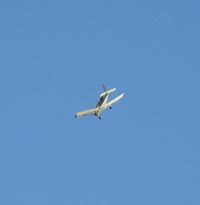N8535N @ ETH - Flying overhead. Sorry for the blurry pic, I had about 7 seconds to turn on my camera and get it all set up in order to capture this plane! - by Kreg Anderson