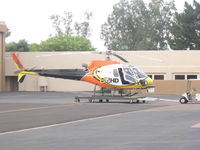 N915HD @ SDL - KNXV Helicopter Departing from Hanger @ Scottsdale Airpark - by 3fan4eva