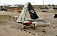 WV908 @ GREENHAM - Sea Hawk FGA.6 of the Royal Navy's Historic Flight at the 1981 Intnl Air Tattoo at RAF Greenham Common. - by Peter Nicholson