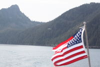N15PR - N15PR in background of USA Flag Northwest Fjord - by Ed Pratt