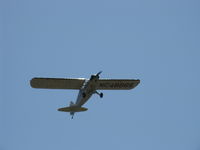 N48866 @ SZP - 1942 Taylorcraft DCO-65, Continental A&C65 65 Hp, takeoff climb Rwy 22 - by Doug Robertson